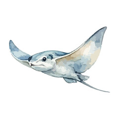 Fototapeta premium Vector watercolor illustration of a stingray