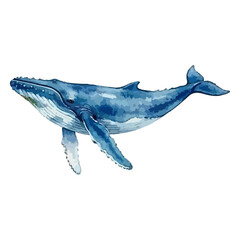 Watercolor vector illustration of a whale © Menhikki