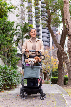 Woman with two dogs in a stroller in Taiwan