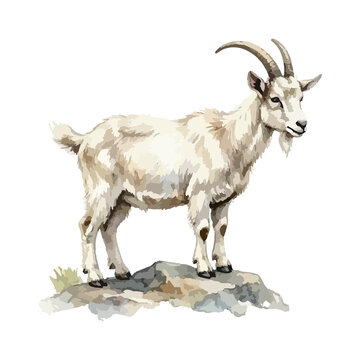 Vector watercolor illustration of a goat