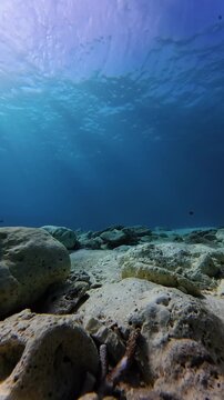 sea and rocks
