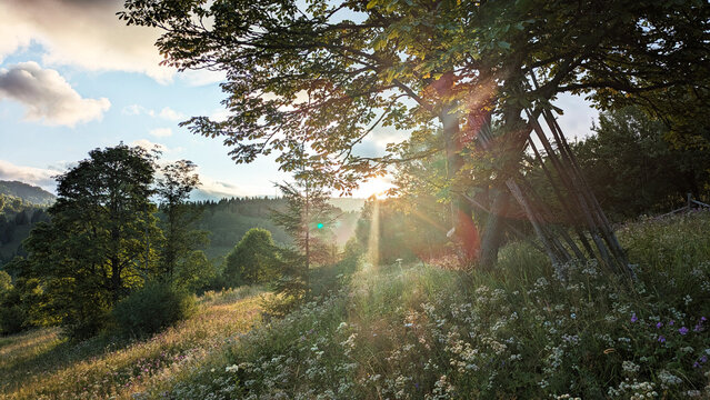 beautiful Carpathian landscape