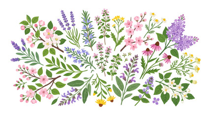 Fototapeta premium Spring Floral Arrangement: Lavender, Blossom & Wildflowers on White