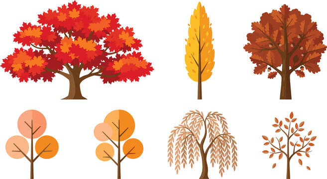 Autumn Trees and Foliage Vector Illustration Set with Red Maple, Oak, and Weeping Willow for Fall Season Landscape Designs (19 words)