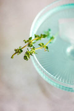 Minimal close-up of thyme sprig on blue glass rim