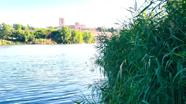 Duero river flowing through zamora with historic cityscape in spain