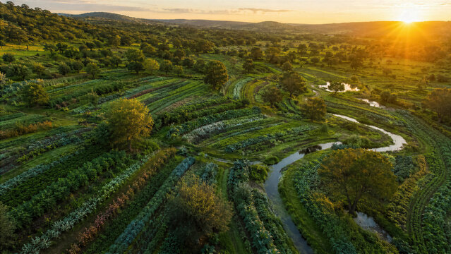 Aerial drone view of a diverse regenerative farm with multispecies cover crops and rotational grazing pastures at sunset