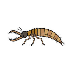 Naklejka premium Hellgrammite dobsonfly larva insect vector illustration cartoon drawing on white background.