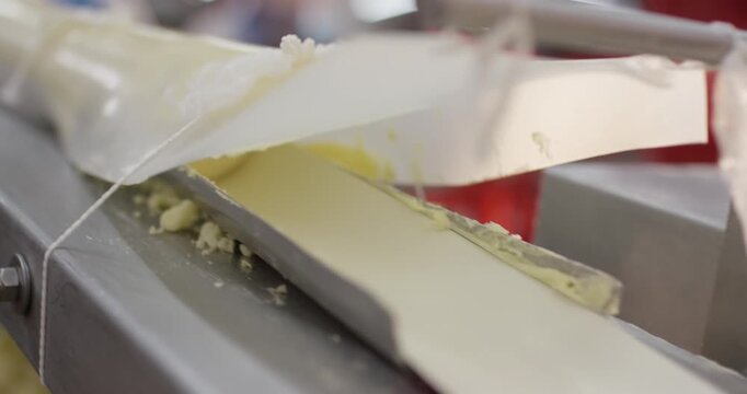 Pale round food portions moving along a bright conveyor belt