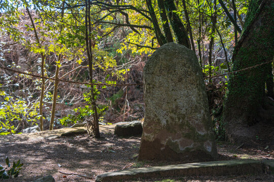 Suga Shrine in Asakura Kami, Imabari, Ehime, Japan &ndash; Traditional Shinto Shrine and Sacred Scenery