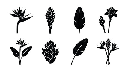 Bird of Paradise and Ginger Flower Silhouette Vector Set Exotic Tropical Icons © Muhammad