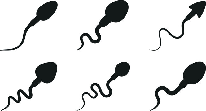 Sperm Cell Vector Icon Set Illustrating Human Spermatozoa and Fertility Biology Concepts