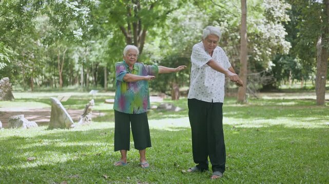 Healthy elderly Asian man and woman practicing Tai Chi or stretching movements together on a green lawn, showing physical wellness and active retirement bonding in the park.