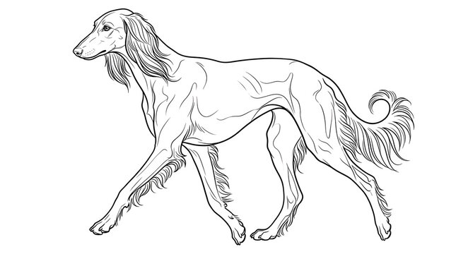 Saluki dog running in elegant line art illustration. Graceful Arabian hound sprinting in minimalist vector style for design projects.