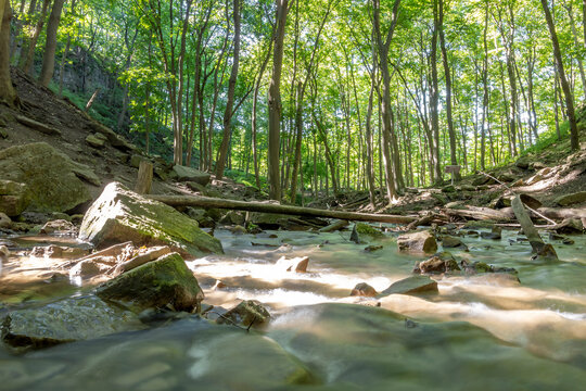 A serene cascade meanders through a lush forest near Sherman Falls in Hamilton, Ontario.