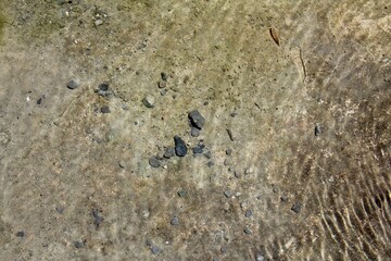 Fototapeta premium water pond and stone