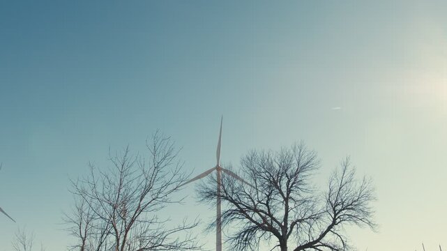 Wind turbines producing clean energy behind leafless trees