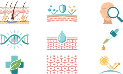 Fototapeta premium Dermatology and Skincare Infographic Icon Set with Skin Layer Cross Section DNA Hair Follicle Pipette and UV Protection Symbols for Cosmetic Medical Vector Designs