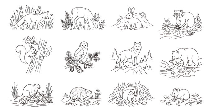 Hand drawn forest animals line art collection, set of 12 woodland wildlife vector icons, minimalist black and white nature illustrations for coloring