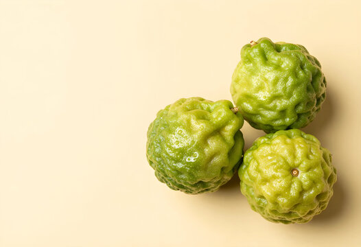 Three fresh green kaffir limes with textured skin, citrus fruit for cooking and aromatherapy, on a light background