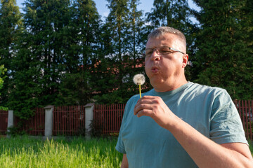 A middle-aged man holds and blows a ripe common dandelion seed head, Taraxacum officinale, in warm evening sunlight. Playful lifestyle image symbolizing wishes, childhood memories, nature connection a © Volha