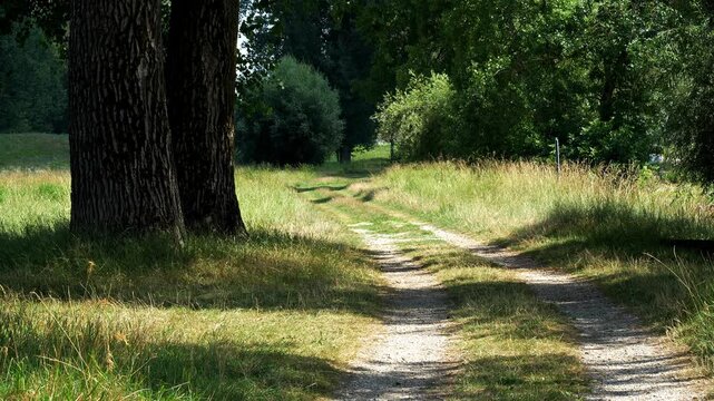 Dirt road path in countryside footage