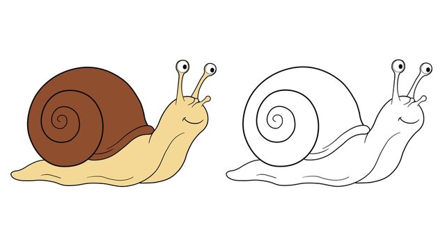 Cute smiling snail with shell, line art and colored illustration side by side, cartoon style