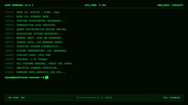 Data Terminal System Diagnostics Server Console Animation.