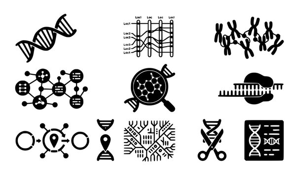 Minimalist solid black DNA strand icon vector collection for medical science and genetic genome tracking interfaces