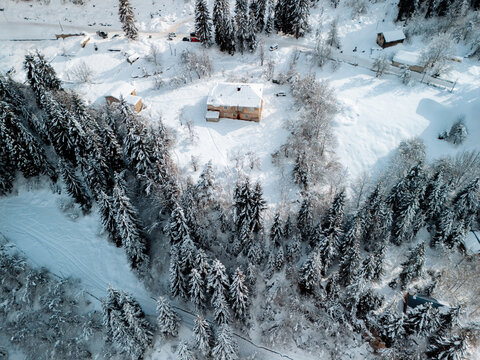 Aerial view of the forest in winter 