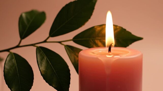 A burning pink candle glows softly next to green leaves