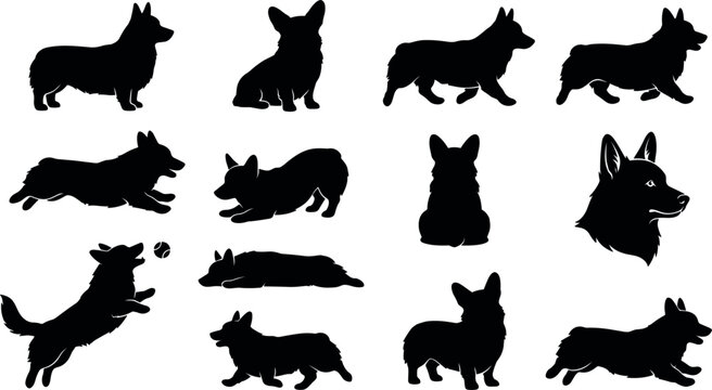 Welsh Corgi Dog Silhouette Icon Set with Standing Sitting Running Jumping Playing and Head Profile Poses for Pet Lovers and Breeders Designs