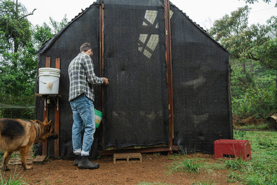 Individual opening netting structure door while loyal dog watches