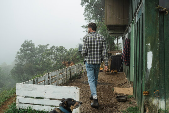 Rural dweller walking with dogs near foggy mountain house