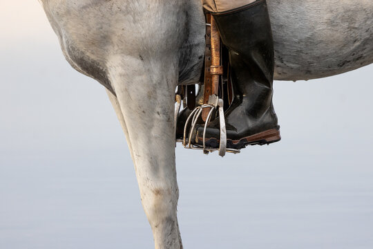 Rider's Boot and Stirrup