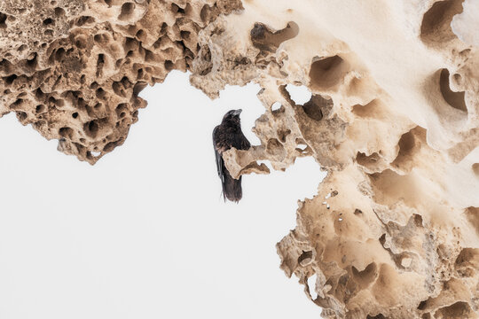 Abstract Salt Erosion Coastal Cliff Side Formation