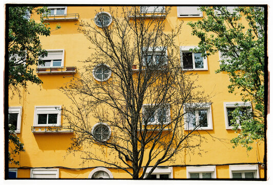 Yellow Residential Facade Framed by Urban Trees