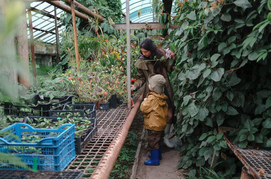 Mother and son observing a lizard in garden water basin after rain