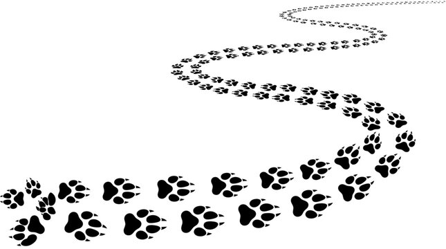 Minimalist black vector graphic illustration showing a winding path of animal paw prints moving into the distant white horizon space