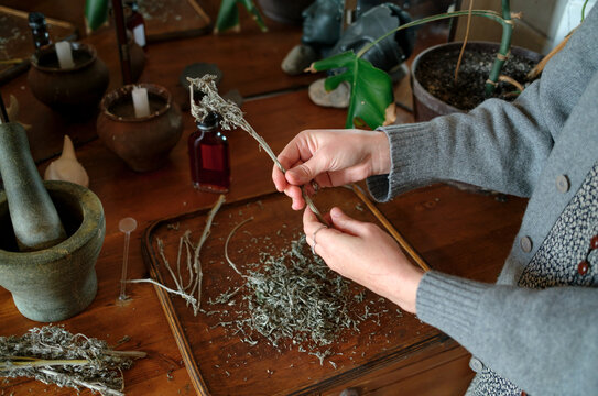 Hands of a perfumer preparing botanical ingredients for fragrance maki