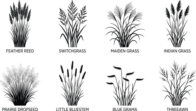 Set of black silhouettes featuring various ornamental prairie grasses, meadow plants, and native field vegetation