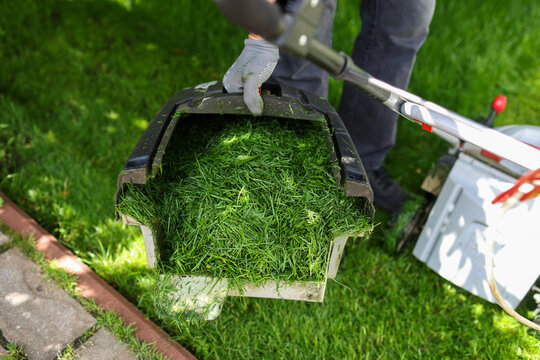A man mows the lawn in the yard.