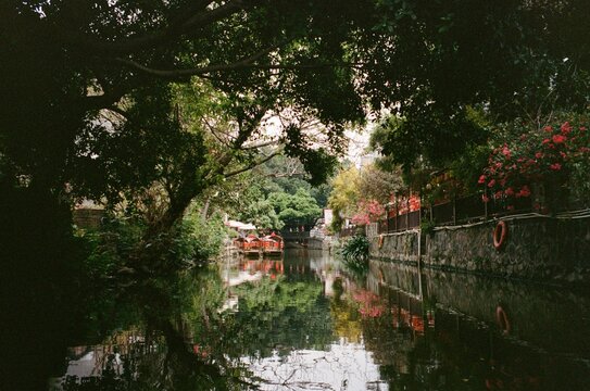 Reflections of Serenity in a Tranquil Riverside Garden