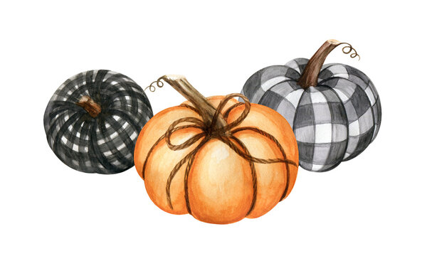 Watercolor clipart featuring orange pumpkin with black and gray buffalo plaid pumpkins. Cozy farmhouse autumn illustration isolated on a white background for Thanksgiving, fall decor, and seasonal cra