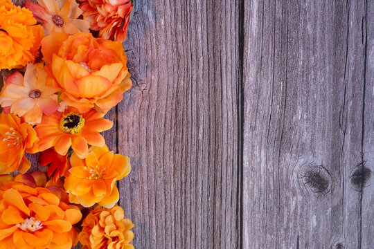 Warm flowers on aged wood with a rustic texture