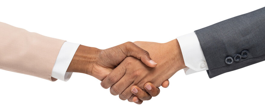 Close up of professional business people shaking hands in agreement