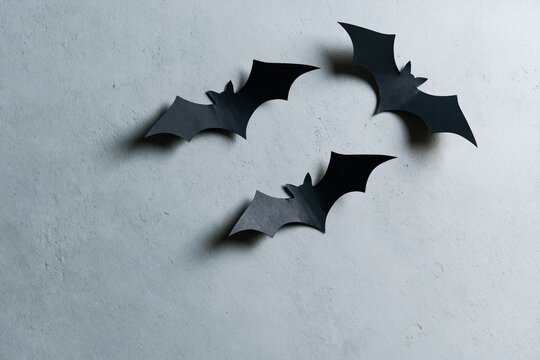 The Bats Silhouettes in a Quiet Night Scene with Minimalist Shadows