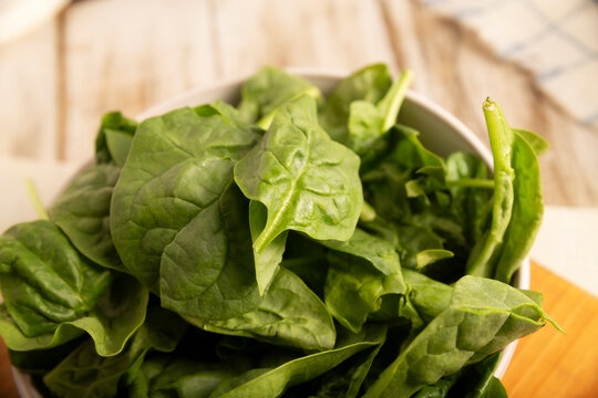 Baby spinach. Fresh and healthy green leaves, ready to eat raw or cooked, are a nutritious ingredient for salads and many vegetarian recipes.