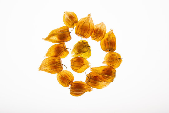 Top view of golden berries physalis fruit arranged in a spiral shape on a white background