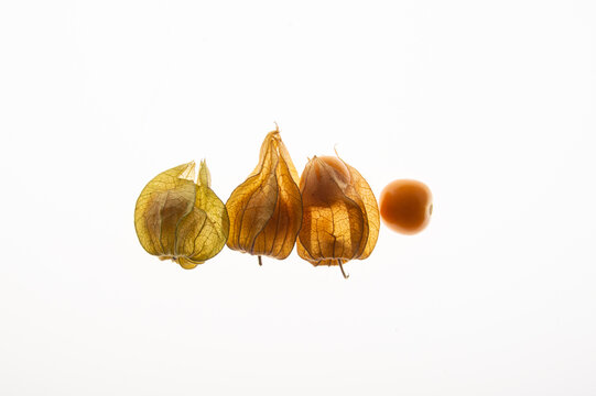 Conceptual row of golden berries physalis showing different stages of peeling on a white background